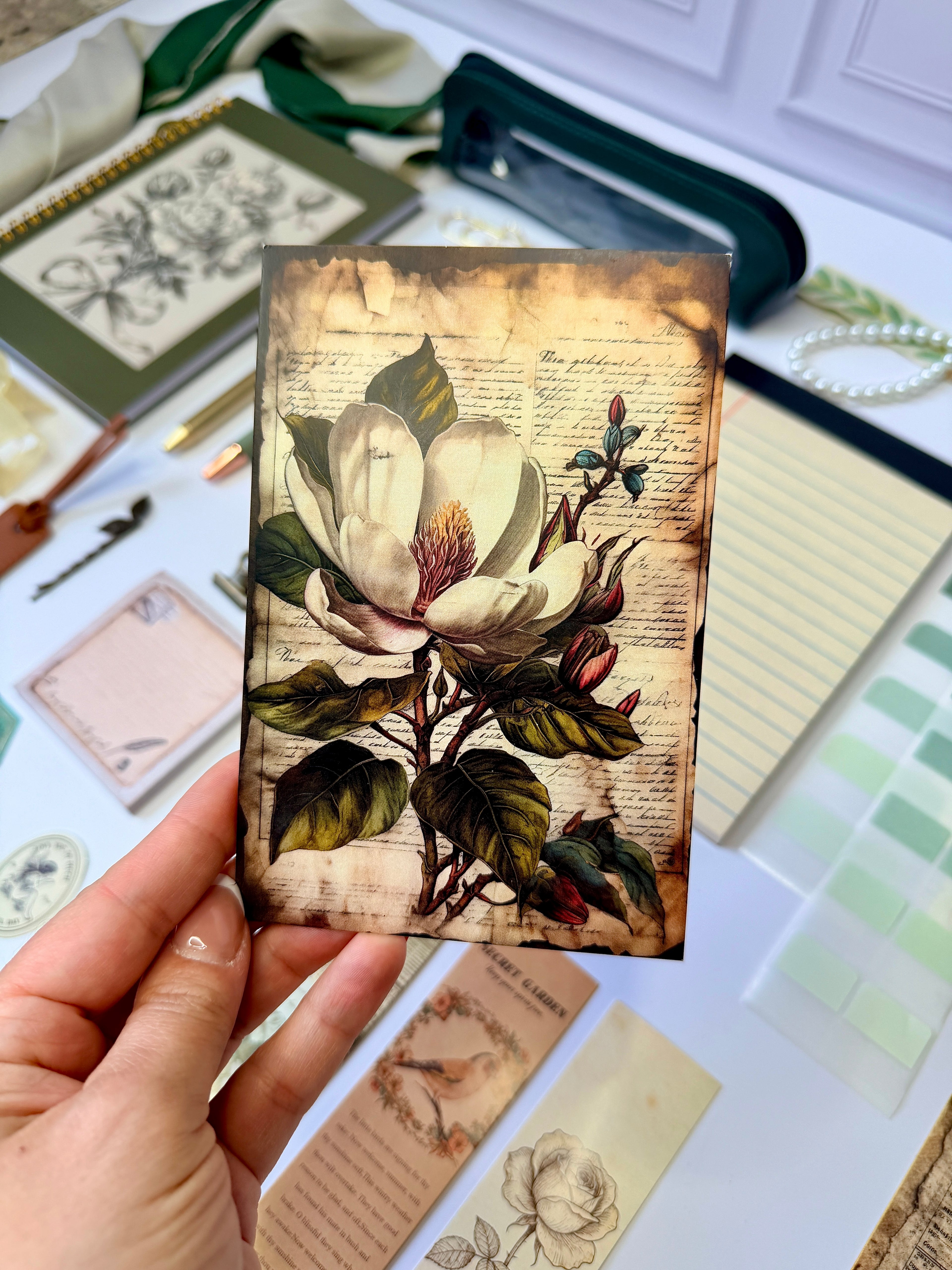 Magnolia’s Heirloom Collection